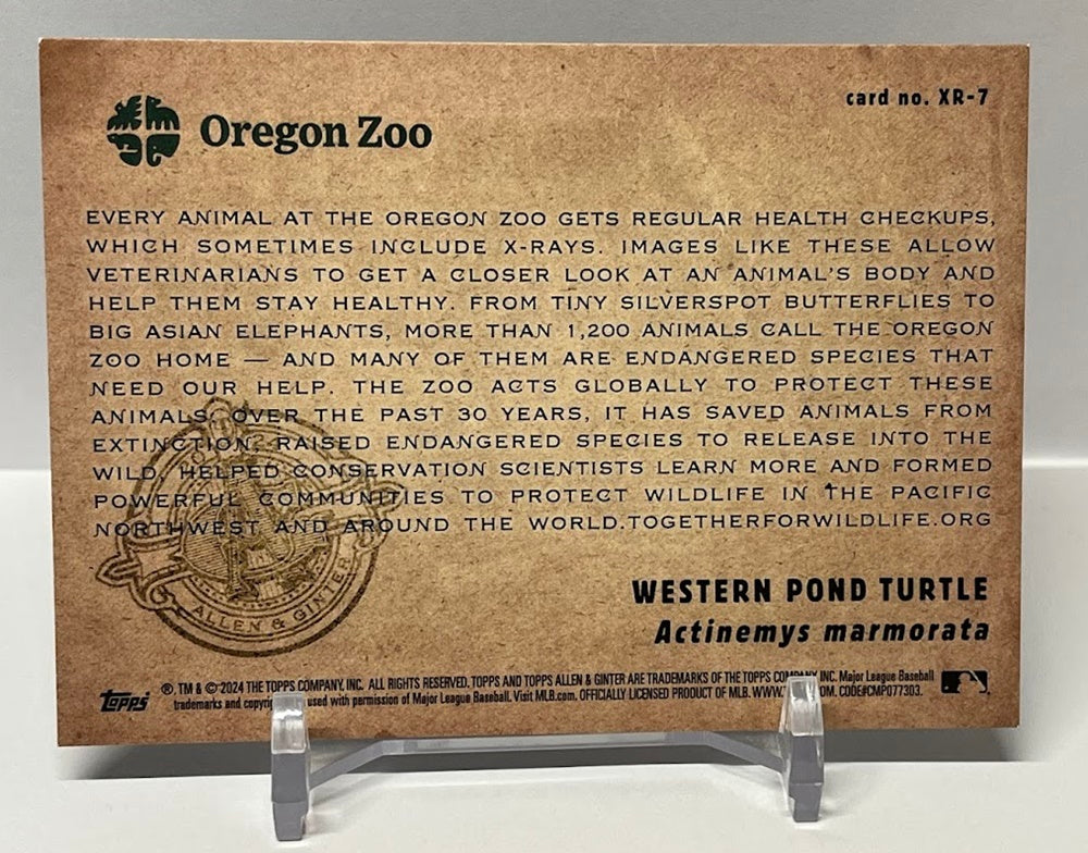 2024 Topps Allen & Ginter Oregon Zoo Western Pond Turtle #XR-7