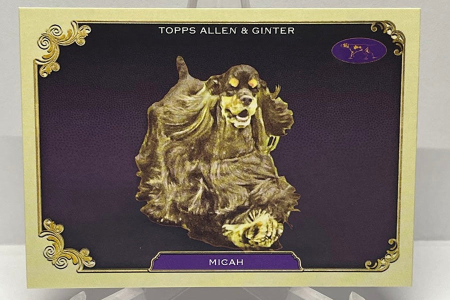2024 Topps Allen & Ginter Stars of the Show Micah SOS-28