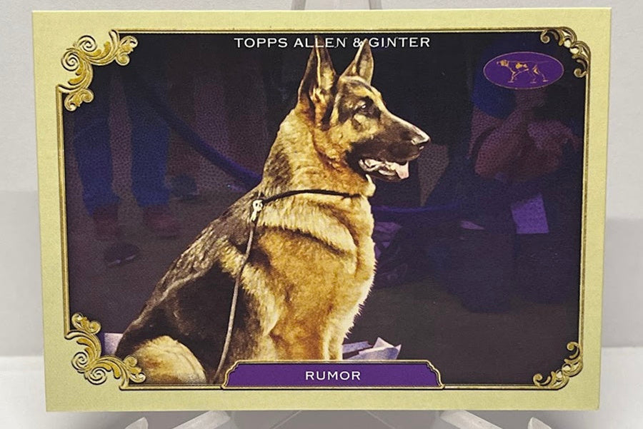 2024 Topps Allen & Ginter Stars of the Show Rumor SOS-16