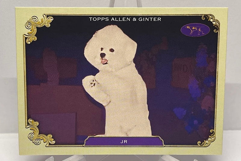 2024 Topps Allen & Ginter Stars of the Show JR SOS-38