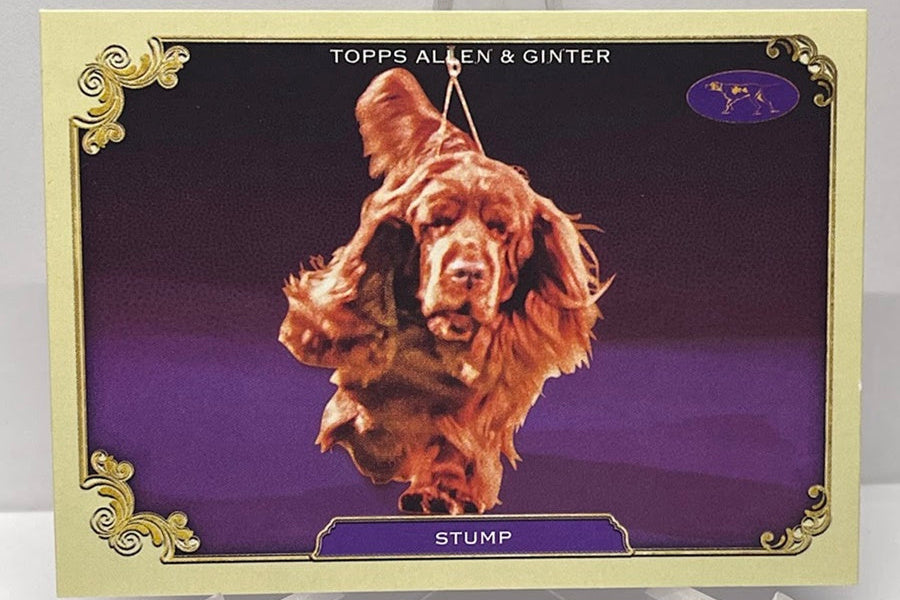 2024 Topps Allen & Ginter Stars of the Show Stump SOS-22