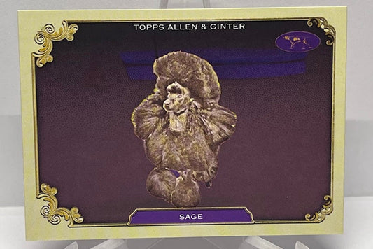 2024 Topps Allen & Ginter Stars of the Show Sage SOS-35