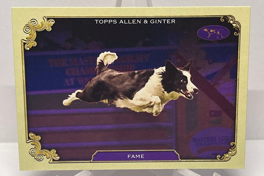 2024 Topps Allen & Ginter Stars of the Show Fame SOS-1