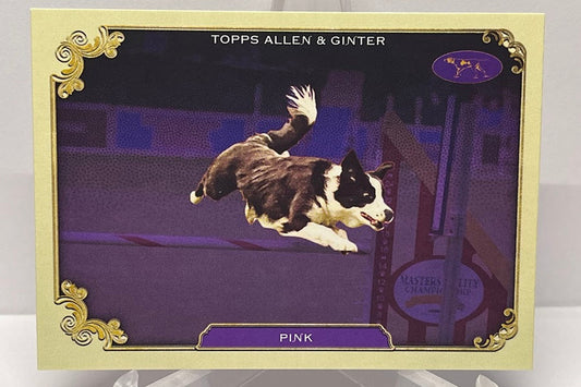 2024 Topps Allen & Ginter Stars of the Show Pink SOS-2
