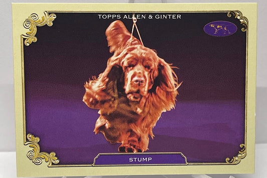 2024 Topps Allen & Ginter Stars of the Show Stump SOS-22